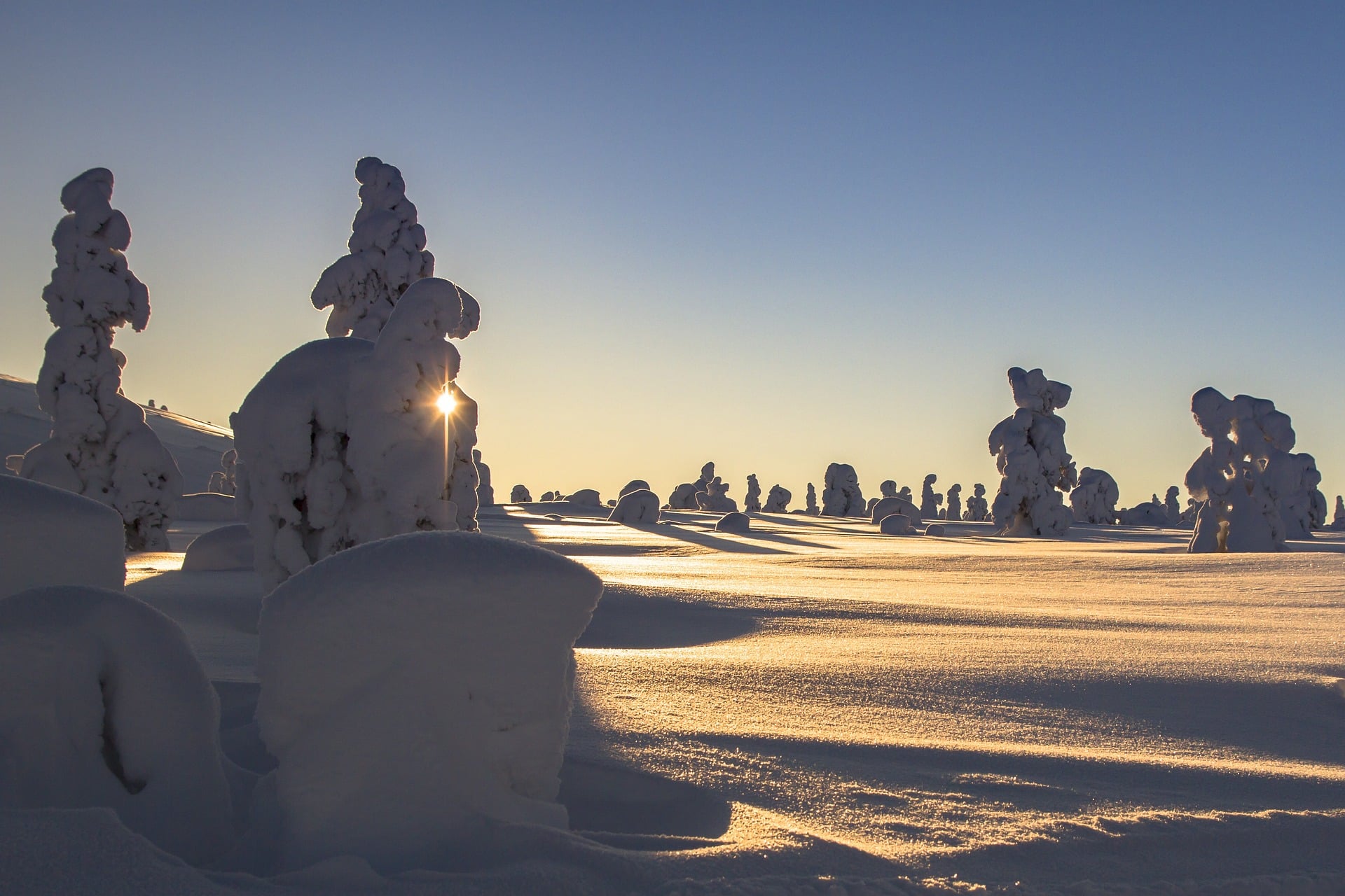 Top 5 des activités hivernales pour reconnecter en famille